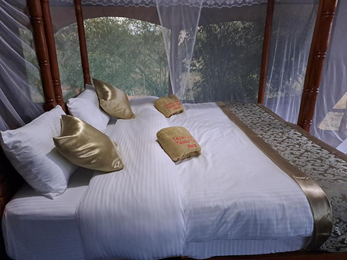Tayari Luxury Tented Camp - Mara Sekenani Exteriér fotografie